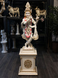 Madhav Murali Krishna