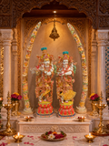 Royal Tuskaar Radha Krishna
